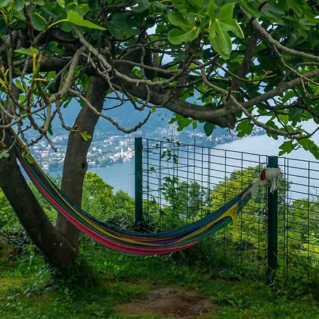 Essentia B&B 5*
