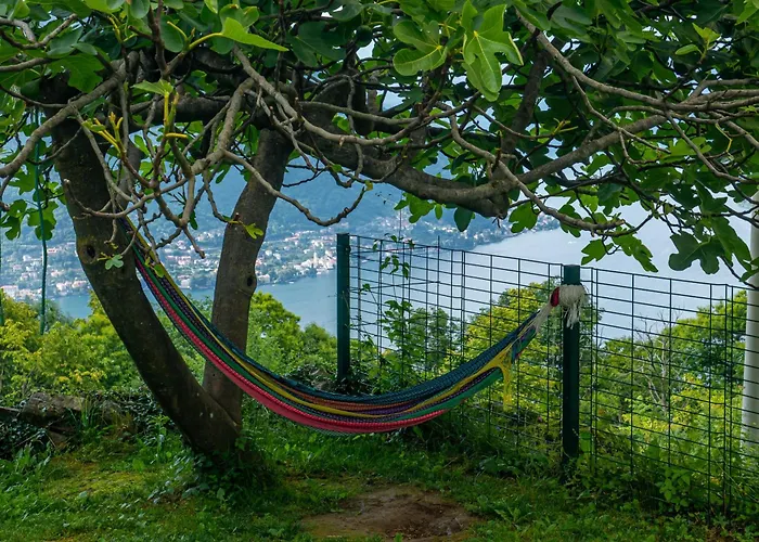 Essentia Nocleg ze śniadaniem 5*