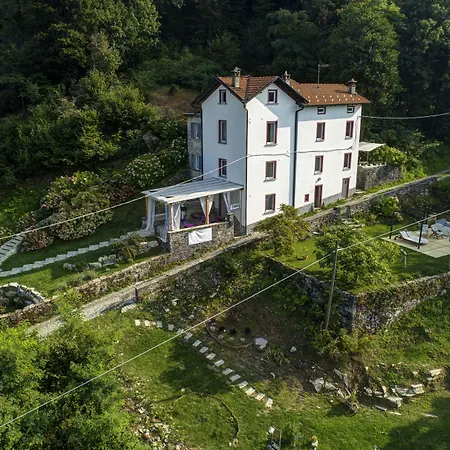 Essentia 5*